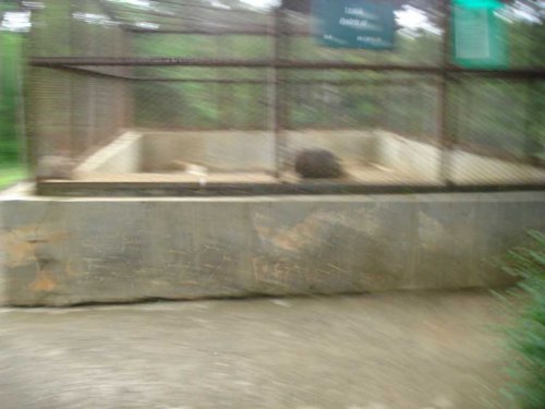 DSC03804_1